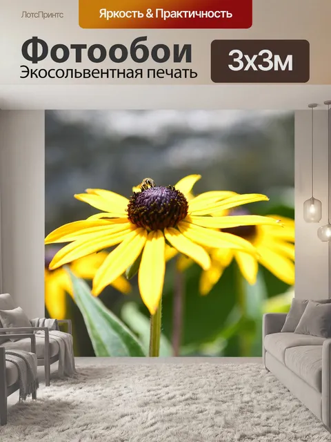 Фотообои Цветет