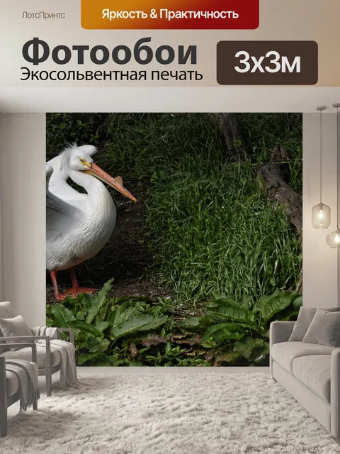 Фотообои Белый Пеликан