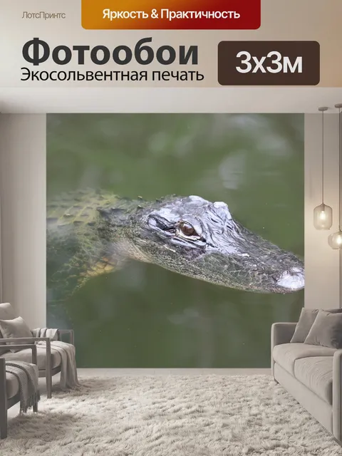 Фотообои Аллигатор