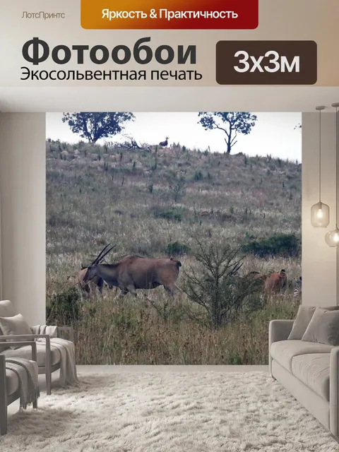 Фотообои Канна движется по пастбищам