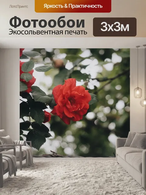 Фотообои Красный