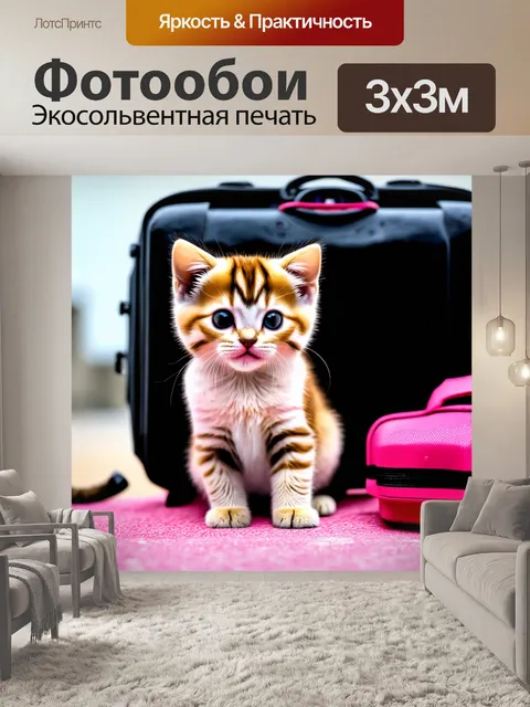 Фотообои котенок, собирающийся в поход