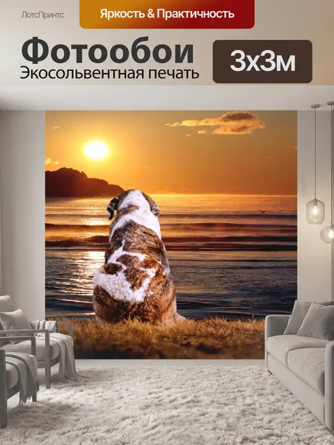 Фотообои Закат