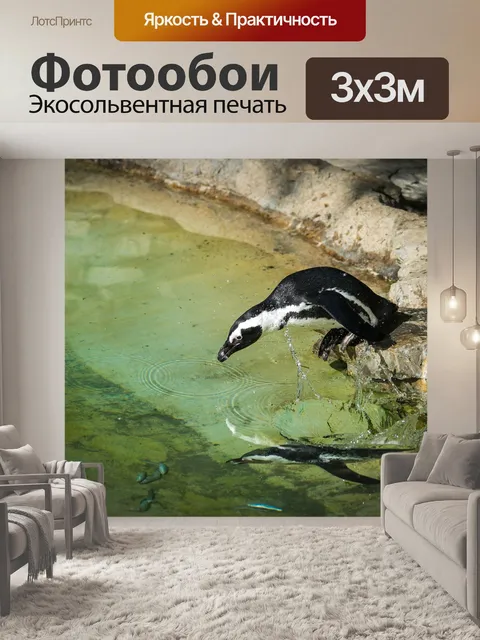 Фотообои Пингвин