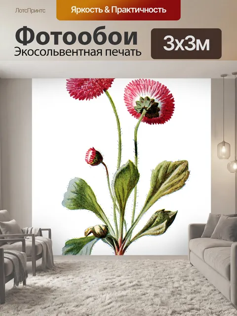 Фотообои Цветы клипарт графический рисунок