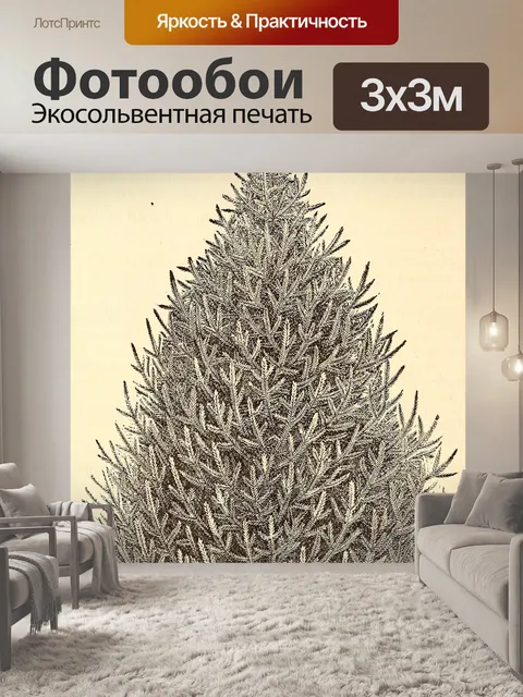 Фотообои Picea glauca Белая ель