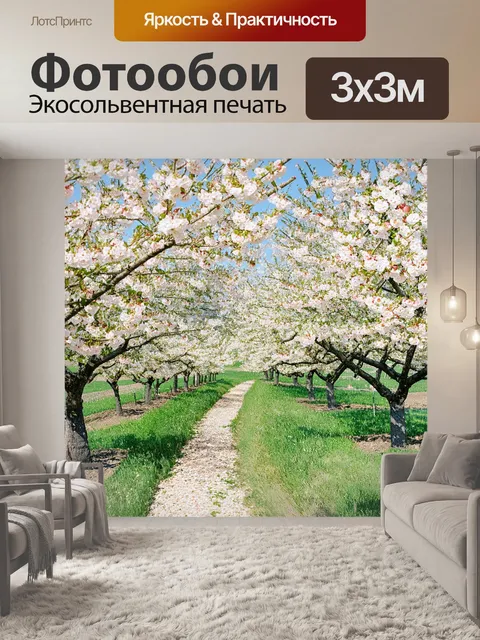 Фотообои пейзаж с яблоневым садом в цвету, где деревья усыпаны белыми и розовыми цветами