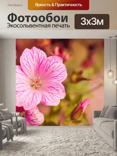 Фотообои Розовый цветок Макро