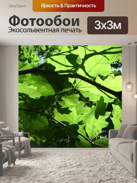 Фотообои Летом