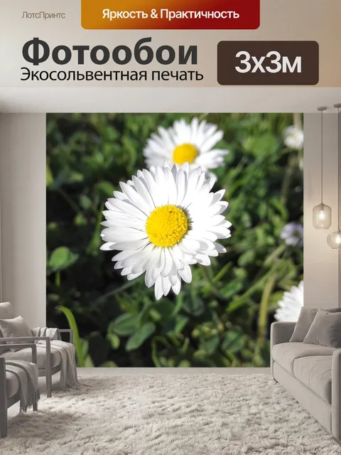 Фотообои Полевые цветы
