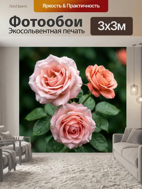 Фотообои Нежно-розовые розы с каплями