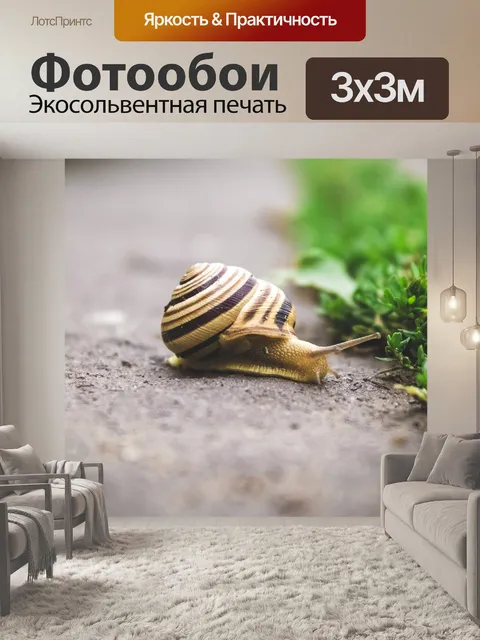 Фотообои Улитка
