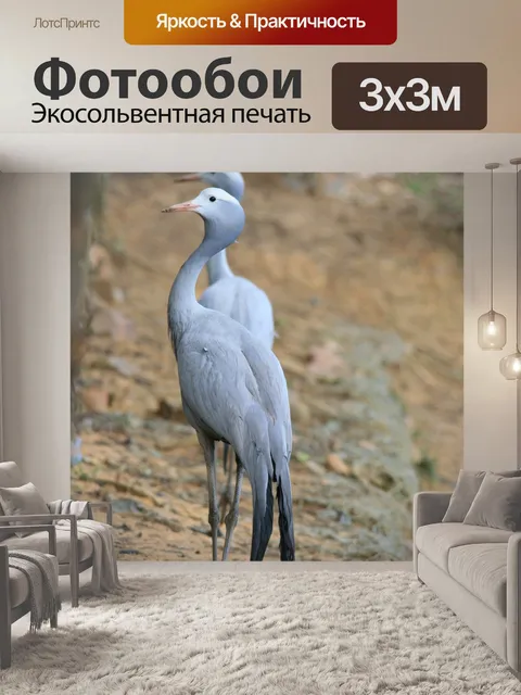 Фотообои высокий синий кран