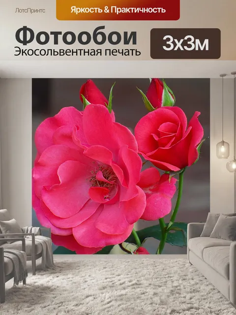 Фотообои Розы красные