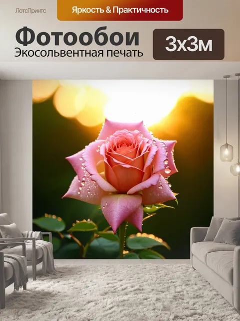 Фотообои нежная роза утренней росы на солнечном фоне