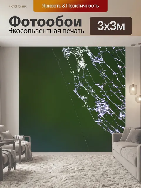 Фотообои Паутина