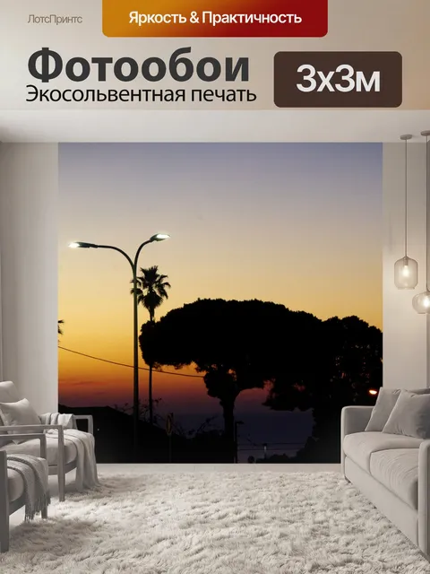 Фотообои Силуэты деревьев на закате