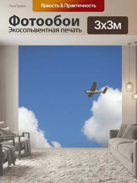 Фотообои Самолетом