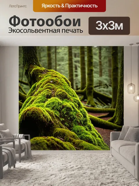 Фотообои древний лес с деревьями, укрытыми мхом