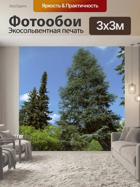 Фотообои Деревья