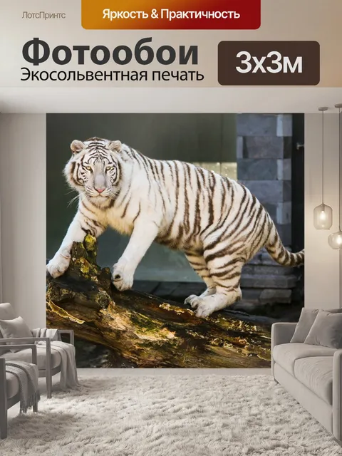 Фотообои Белый тигр