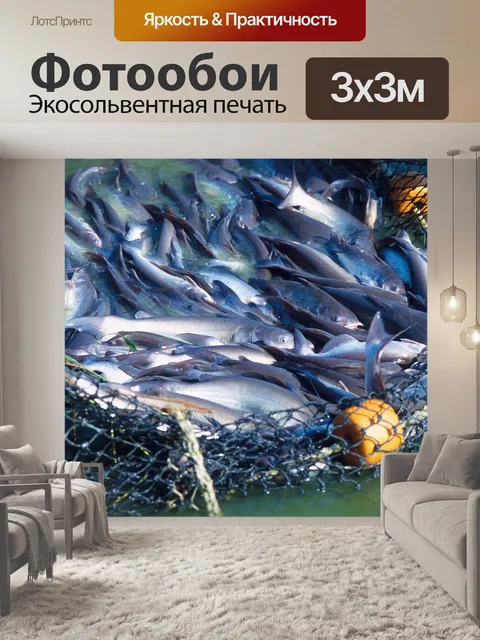 Фотообои Ловить