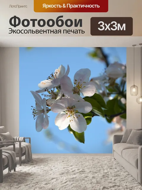 Фотообои Весенняя ветка