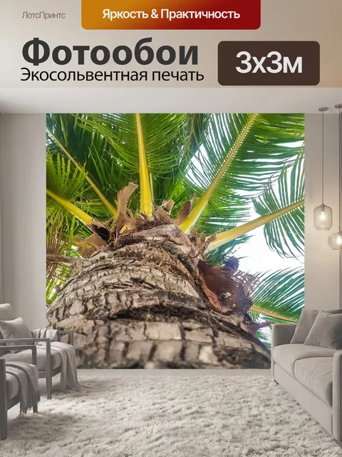 Фотообои Пальма