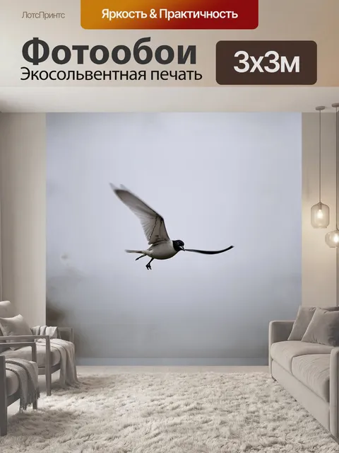 Фотообои минималистическая птица в полёте