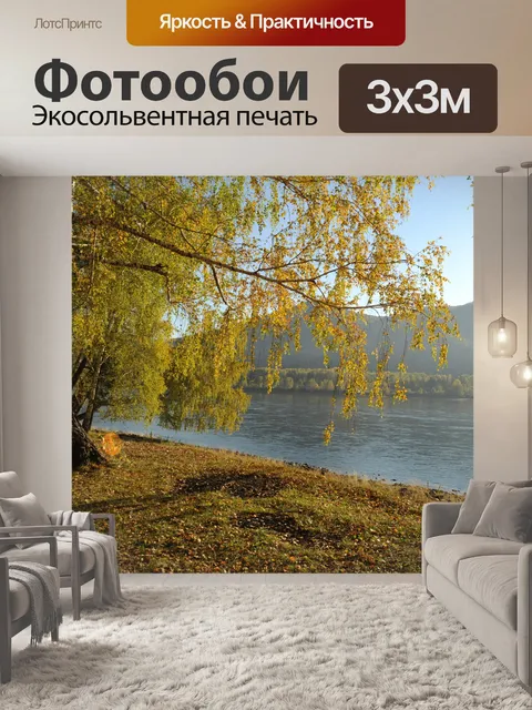 Фотообои Осенний лес