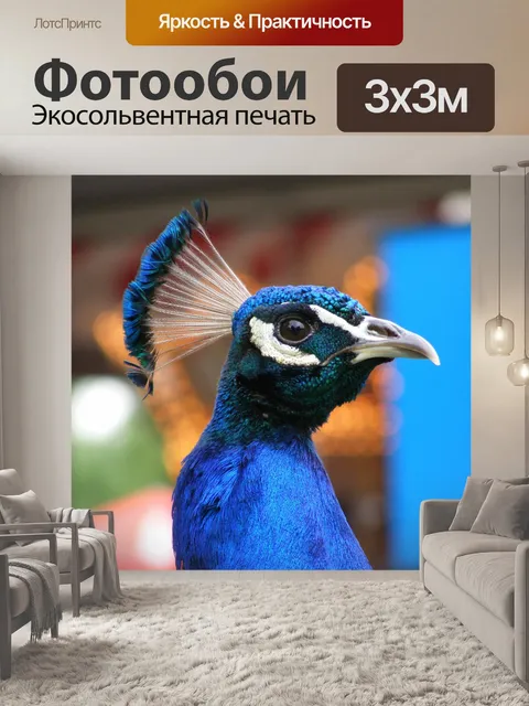 Фотообои Павлин профиля