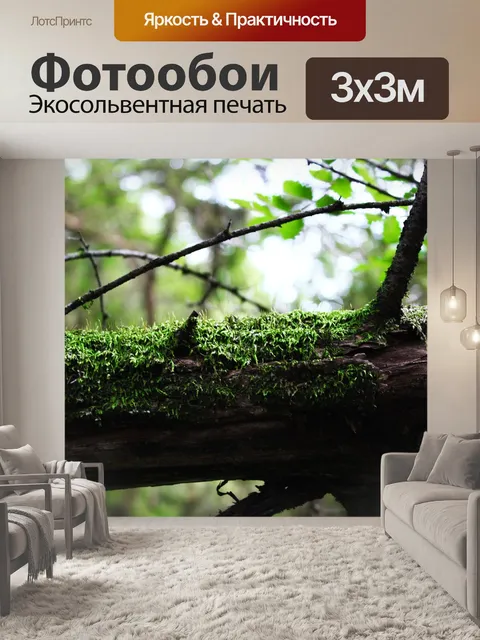 Фотообои Древесина
