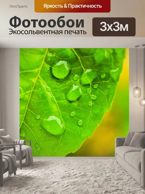 Фотообои Зеленый лист фон