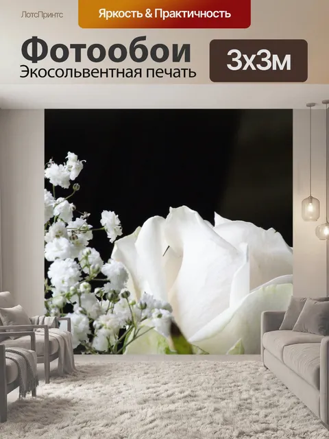 Фотообои Белая роза