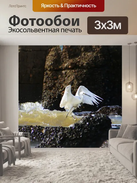Фотообои Животное