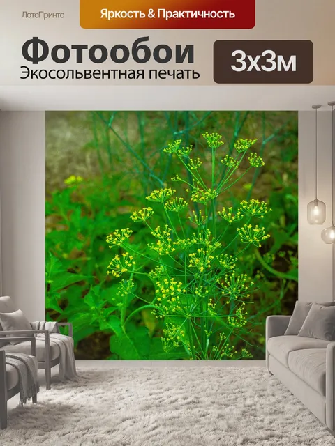 Фотообои Овощ