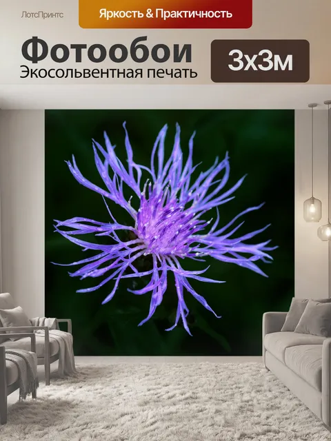 Фотообои Цветут цветы цветут срезанные цветы