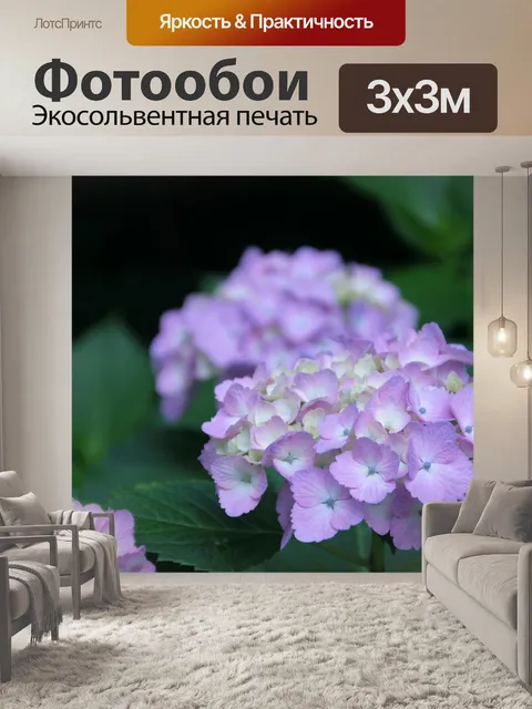Фотообои Гортензия