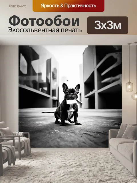 Фотообои на просторах мегаполиса французский бульдог исследует городской пейзаж