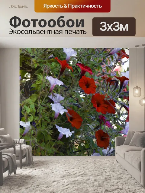 Фотообои петуния
