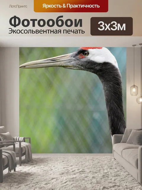 Фотообои Японский журавль
