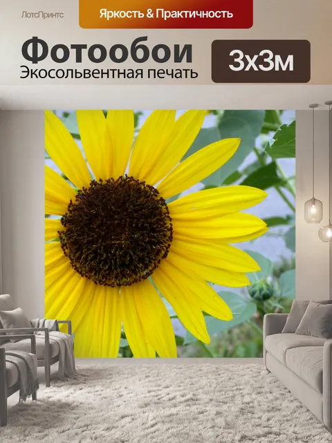 Фотообои Идеальный Подсолнух