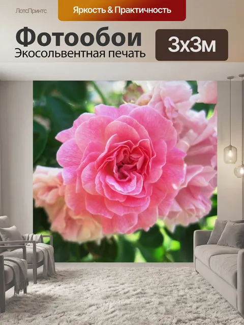 Фотообои мягкий розовый розы