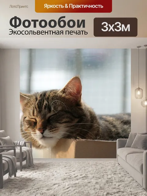 Фотообои Кошка