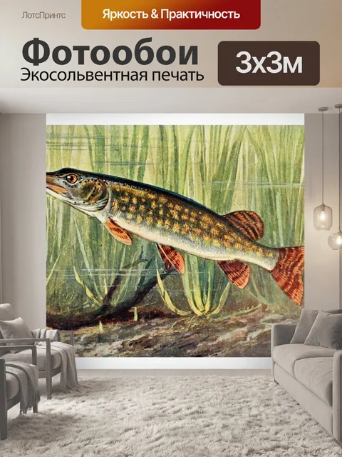 Фотообои Щука пресноводная рыба рыба винтаж