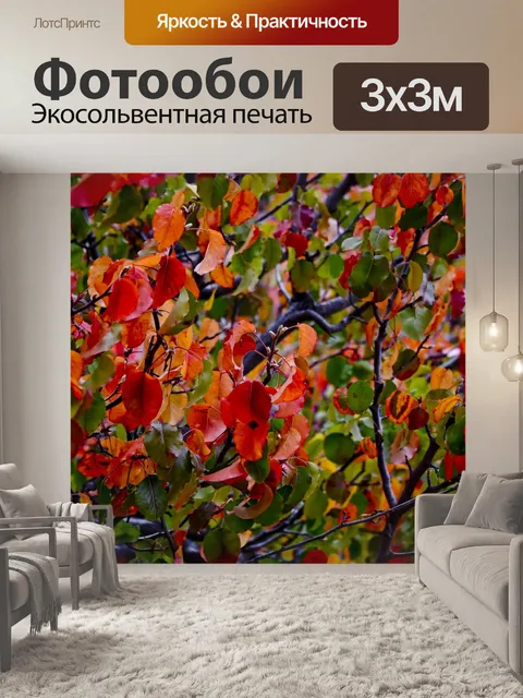Фотообои Красный Красный