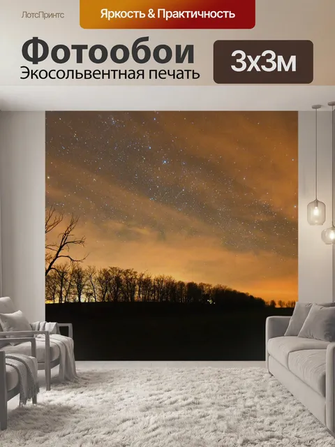 Фотообои Лес