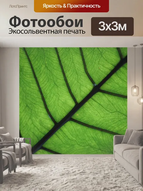 Фотообои Лист