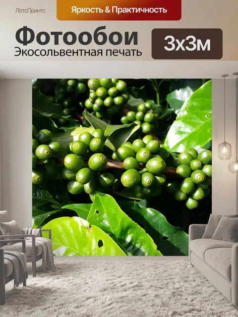 Фотообои Кофе