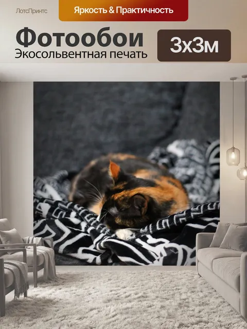 Фотообои Уютный котик